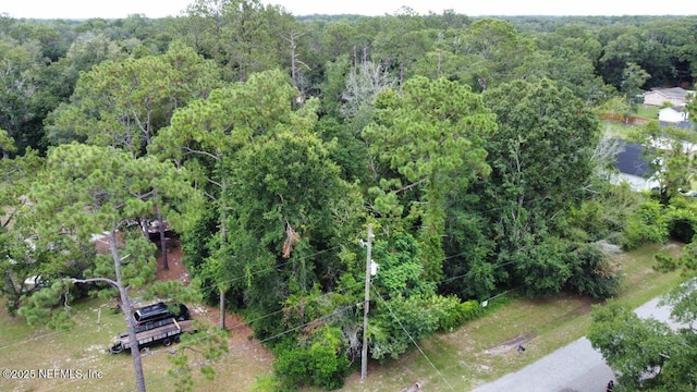 9015 Bellrose Ave, Jacksonville, FL 32222 - photo 5