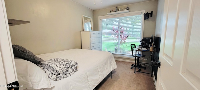 12213 Governors Dr W, Jacksonville, FL 32223 - photo 12