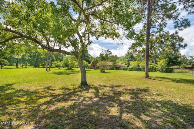 7220 Cottonwood Ct, Middleburg, FL 32068 - photo 35