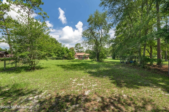 7220 Cottonwood Ct, Middleburg, FL 32068 - photo 50