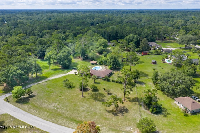 7220 Cottonwood Ct, Middleburg, FL 32068 - photo 51