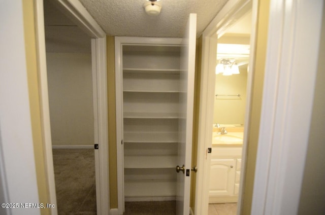 1810 Sevilla Blvd Unit 202, Atlantic Beach, FL 32233 - closet featuring a sink