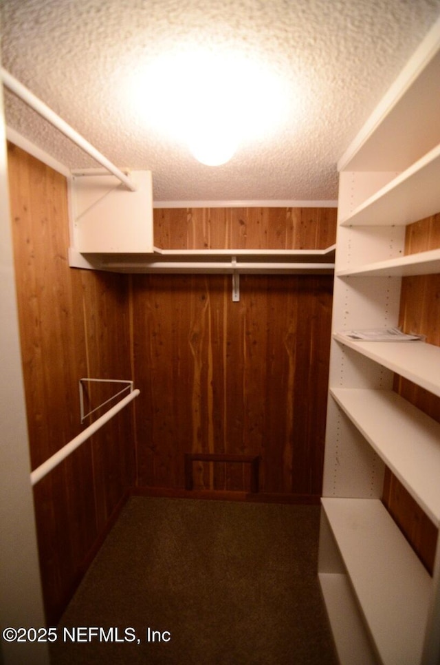 1810 Sevilla Blvd Unit 202, Atlantic Beach, FL 32233 - spacious closet featuring carpet flooring