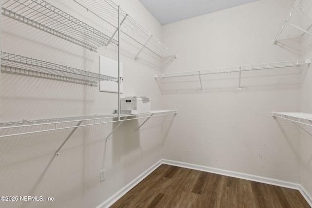 94032 Woodbrier Cir, Fernandina Beach, FL 32034 - spacious closet featuring wood finished floors