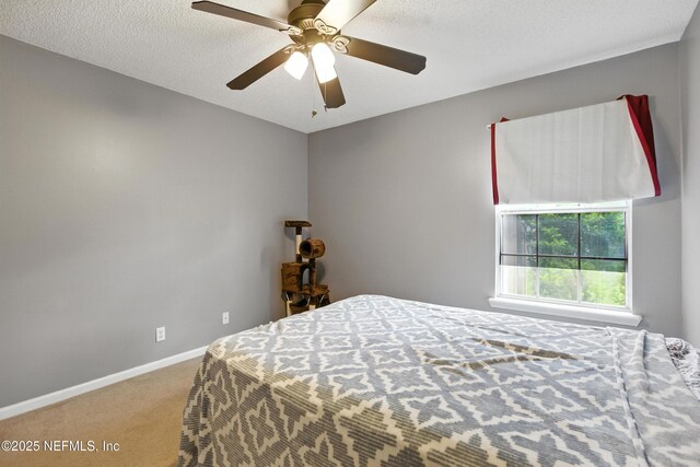 14511 Greenover Ln, Jacksonville, FL 32258 - photo 24