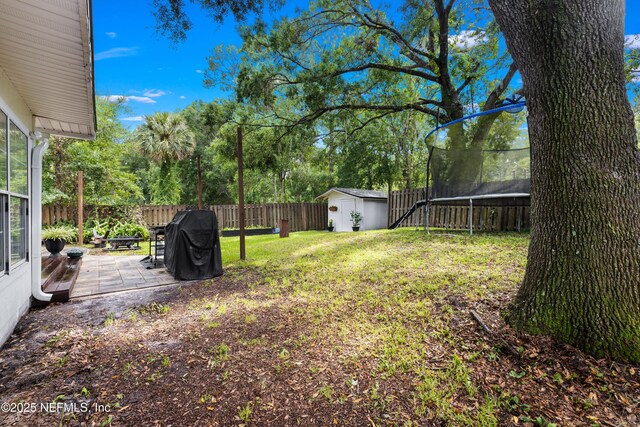 5263 Ellen Ct, Saint Augustine, FL 32086 - fenced backyard with a trampoline, a storage shed, a patio area, and view of scattered trees