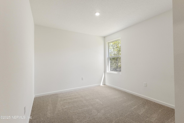 10328 Greystone Dr, Glen St Mary, FL 32040 - photo 15