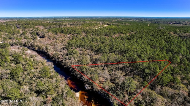 0 Ella Ave, Bryceville, FL 32009 - photo 2