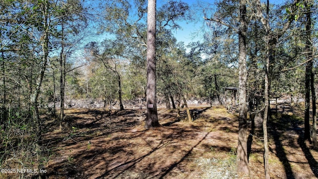 0 Ella Ave, Bryceville, FL 32009 - photo 5
