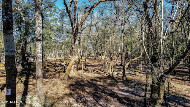 0 Ella Ave, Bryceville, FL 32009 - photo 6