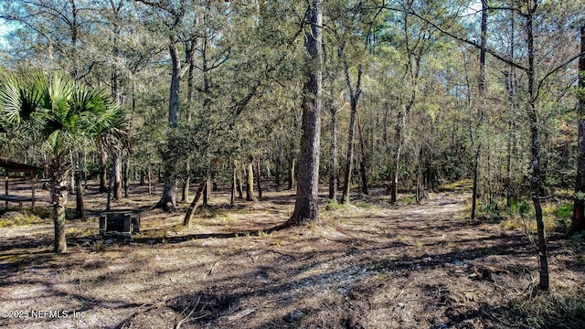 0 Ella Ave, Bryceville, FL 32009 - photo 8