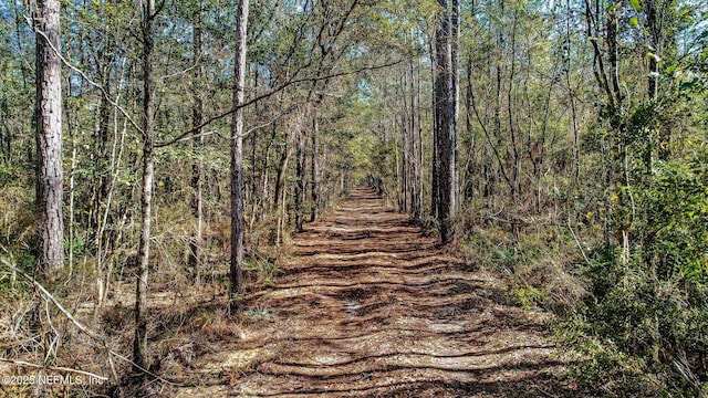 0 Ella Ave, Bryceville, FL 32009 - photo 9
