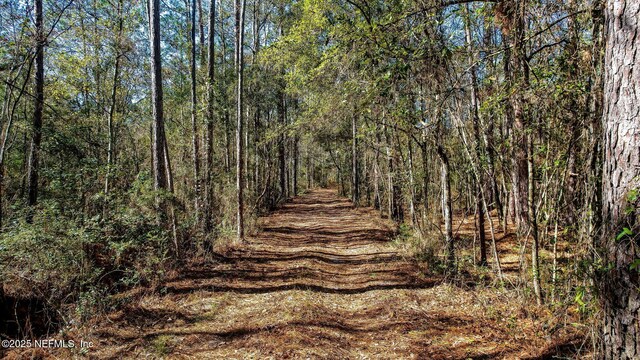 0 Ella Ave, Bryceville, FL 32009 - photo 10