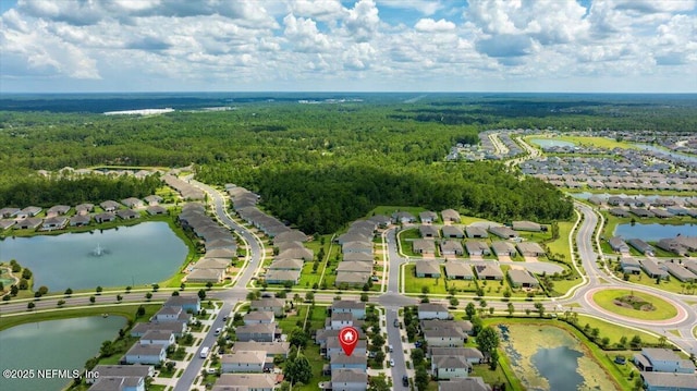 3922 Heatherbrook Pl, Middleburg, FL 32068 - photo 59