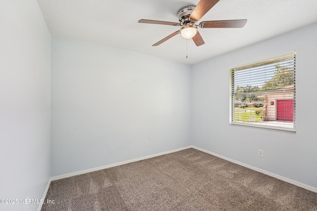 366 Perthshire Dr, Orange Park, FL 32073 - photo 32