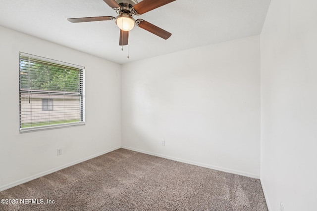 366 Perthshire Dr, Orange Park, FL 32073 - photo 34