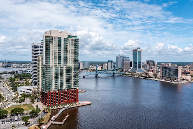 1431 Riverplace Blvd Unit 2508, Jacksonville, FL 32207 - photo 33
