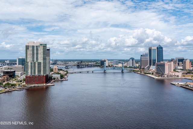 1431 Riverplace Blvd Unit 2508, Jacksonville, FL 32207 - photo 37