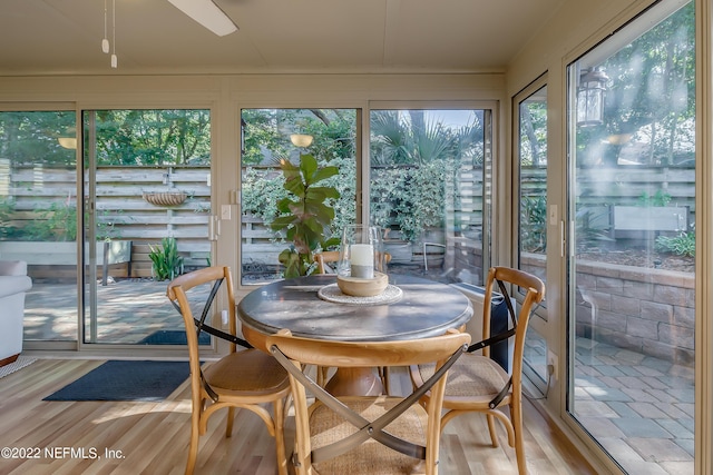 315 20th St, Atlantic Beach, FL 32233 - sunroom / solarium with wood finished floors