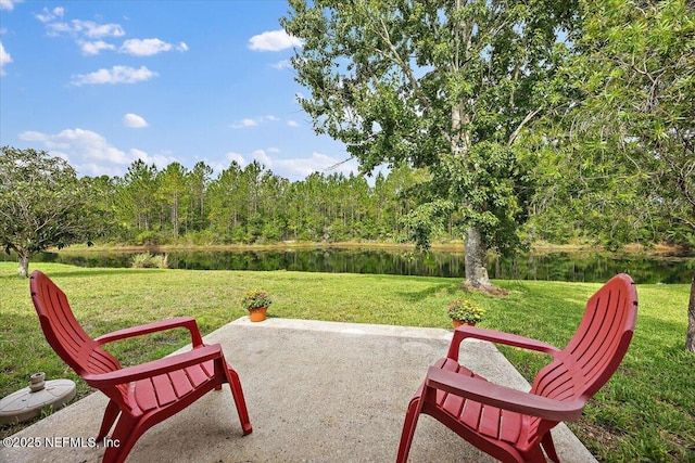 11790 Carson Lake Dr W, Jacksonville, FL 32221 - photo 13