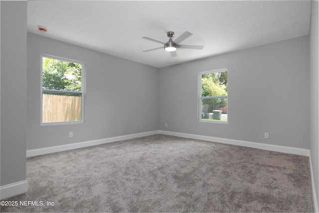 3348 Drew St, Jacksonville, FL 32207 - photo 14
