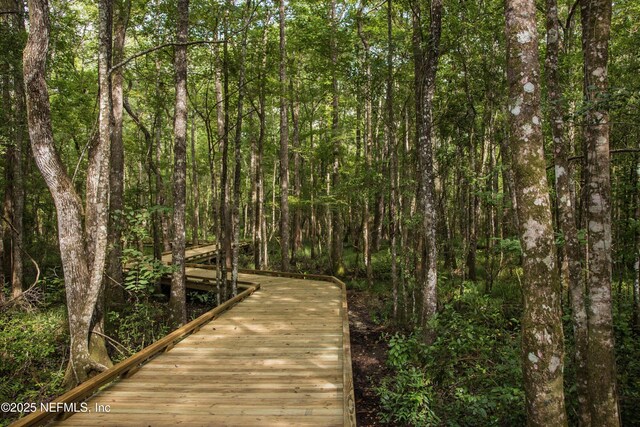 25 Craig Ct, Saint Johns, FL 32092 - photo 24