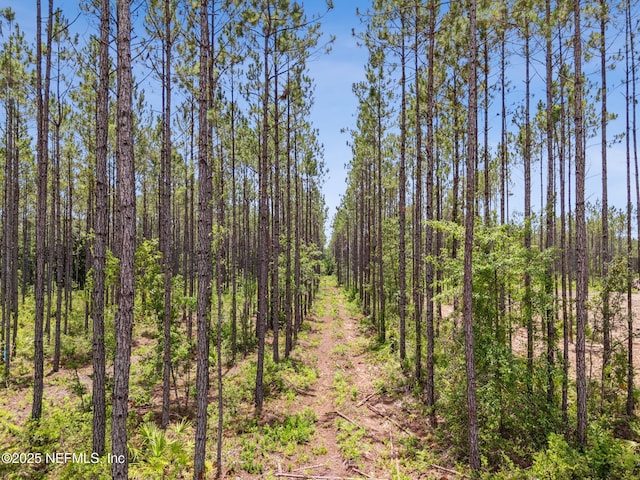 0 Lake Hampton Rd, Hilliard, FL 32046
