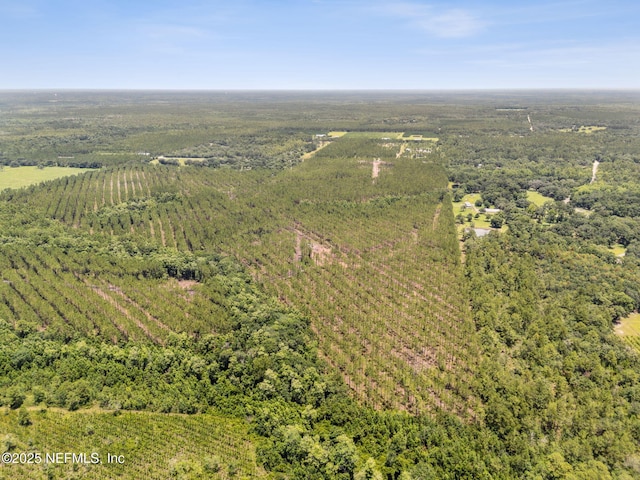 0 Lake Hampton Rd, Hilliard, FL 32046
