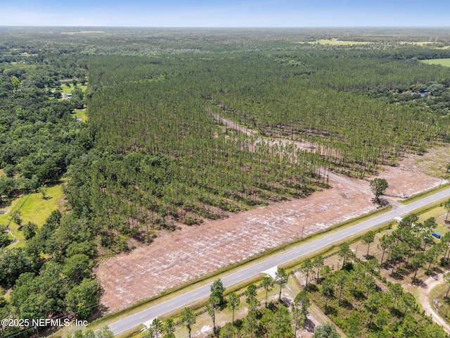 0 Lake Hampton Rd, Hilliard, FL 32046