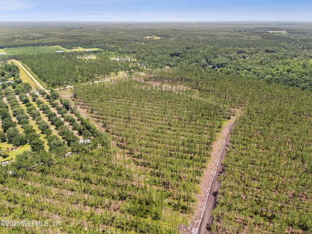 0 Lake Hampton Rd, Hilliard, FL 32046