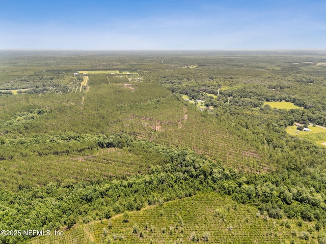 0 Lake Hampton Rd, Hilliard, FL 32046