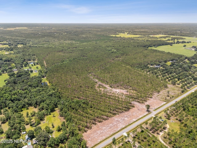 0 Lake Hampton Rd, Hilliard, FL 32046