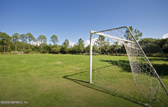 1563 Tawny Marsh Ct, Saint Augustine, FL 32092 - view of yard featuring an area for soccer