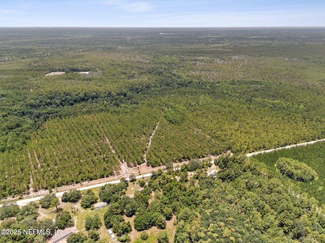 0 Penny Haddock Rd, Hilliard, FL 32046