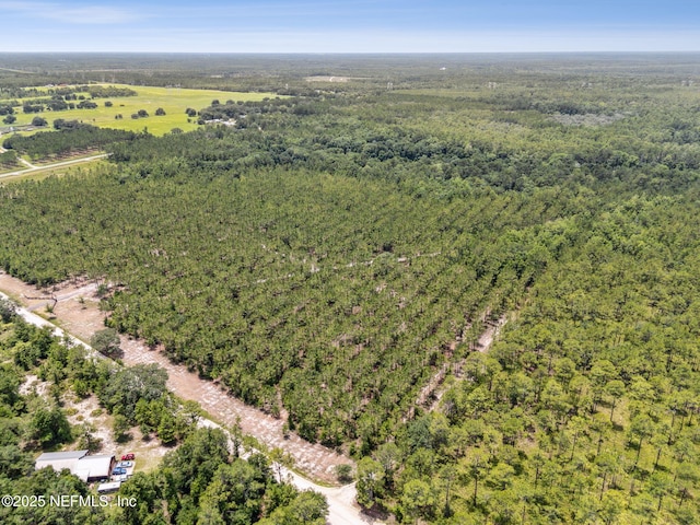 0 Penny Haddock Rd, Hilliard, FL 32046