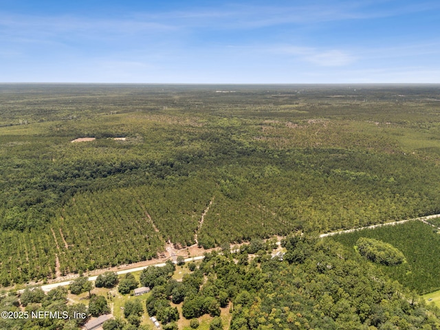0 Penny Haddock Rd, Hilliard, FL 32046