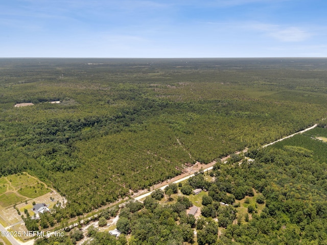 0 Penny Haddock Rd, Hilliard, FL 32046