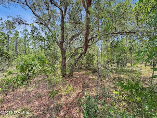 0 Penny Haddock Rd, Hilliard, FL 32046