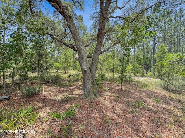 0 Penny Haddock Rd, Hilliard, FL 32046
