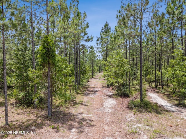 0 Penny Haddock Rd, Hilliard, FL 32046