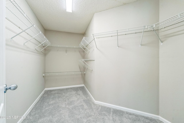 9041 Redtail Dr, Jacksonville, FL 32222 - photo 25