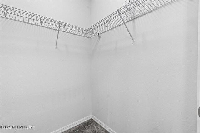 1200 Canopy Walk Ln Unit 1212, Palm Coast, FL 32137 - walk in closet featuring dark carpet
