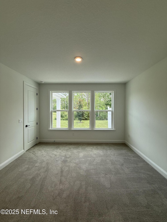 24 Mulberry Rd, Palm Coast, FL 32164 - photo 11