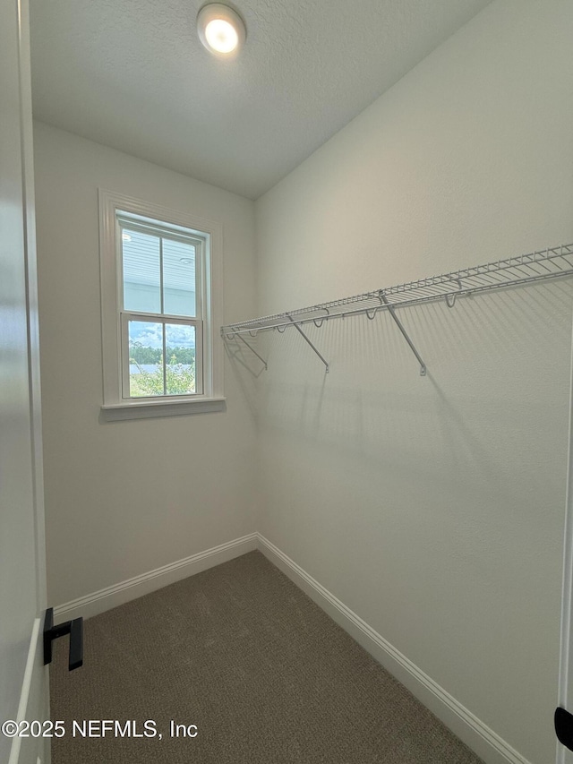 24 Mulberry Rd, Palm Coast, FL 32164 - photo 18