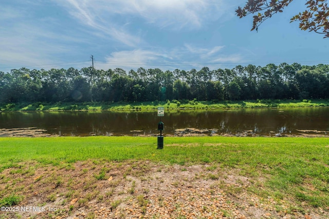 10435 Mid Town Pkwy Unit 265, Jacksonville, FL 32246 - water view