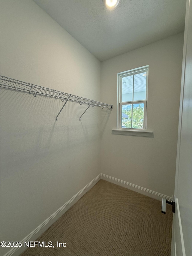 22 Mulberry Rd, Palm Coast, FL 32164 - photo 19