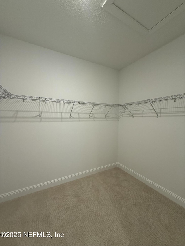 22 Mulberry Rd, Palm Coast, FL 32164 - photo 16
