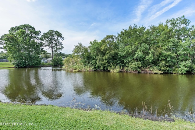 12551 Reginald Dr, Jacksonville, FL 32246 - photo 4