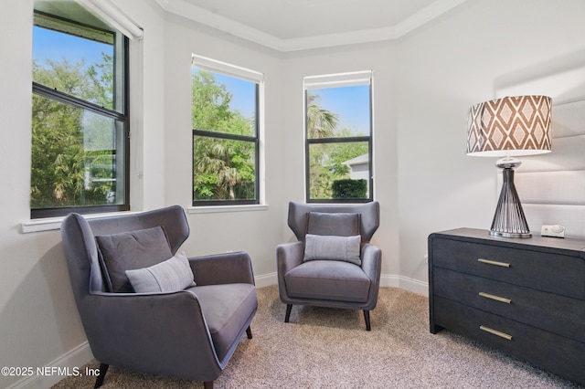 8 Blue Oak Ln, Palm Coast, FL 32137 - photo 20