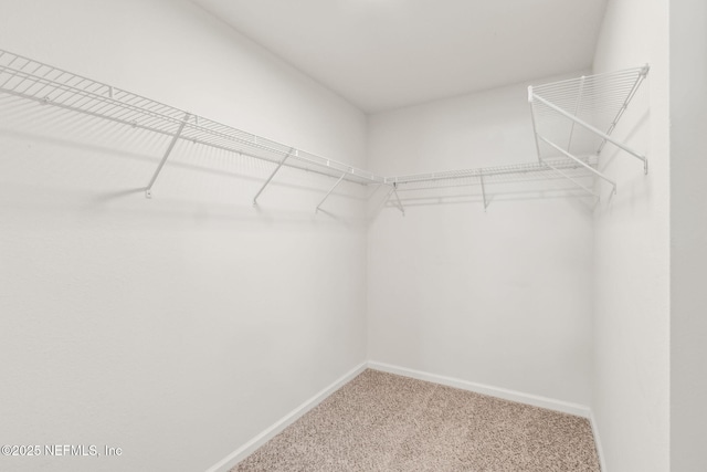 83687 Nether St, Fernandina Beach, FL 32034 - spacious closet with carpet floors
